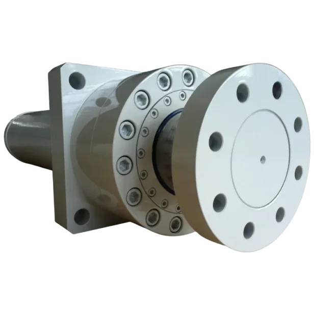 Özel Tasarım Sistemler